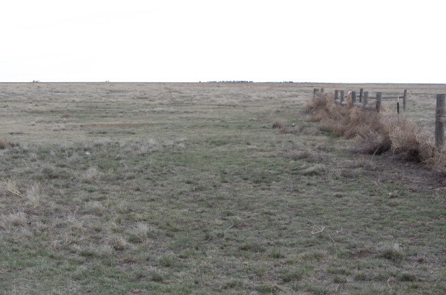 Flat plains at Cimarron National Grassland