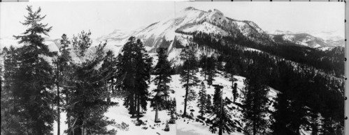 2-part photo of Clouds Rest. Original print in over-sized photo drawer in RL.