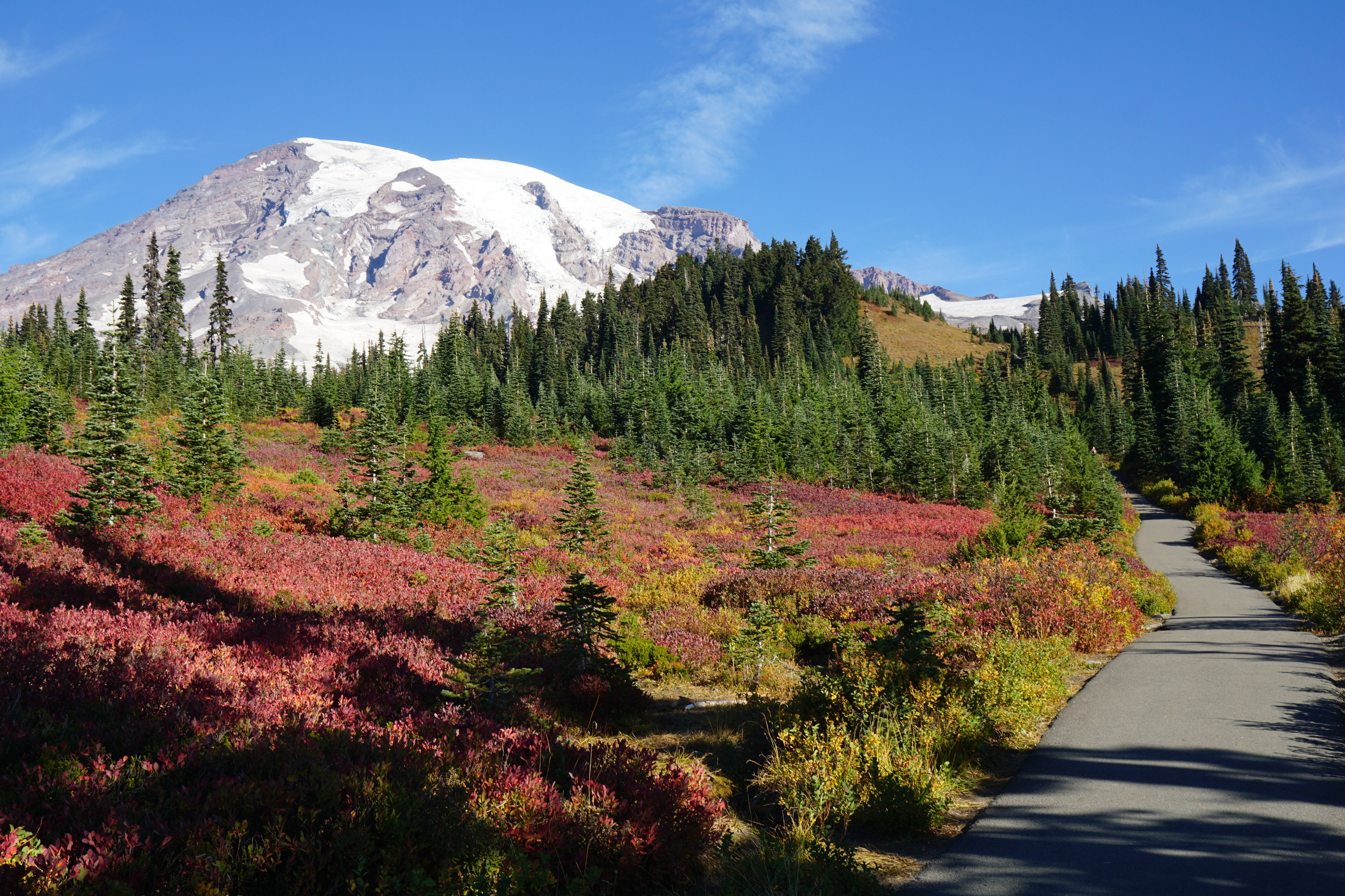 A paved trail bordered by bright red and orange huckleberry bushes climbs up a slope towards a glaciated mountain peak. 