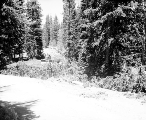 Three men operating bulldozer to clear spur road.