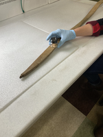 A hand lens is used to inspect the bow