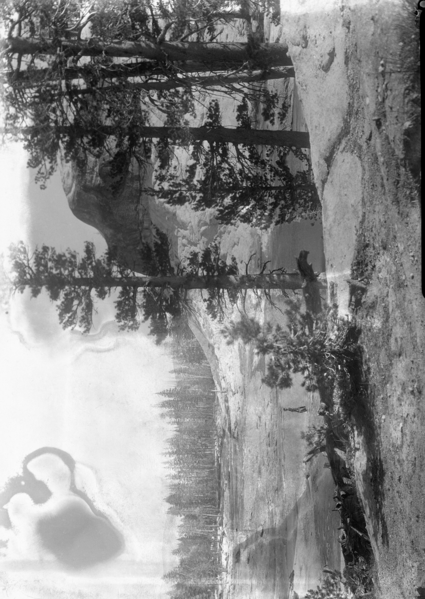 Tuolumne River in Tuolumne Meadows.