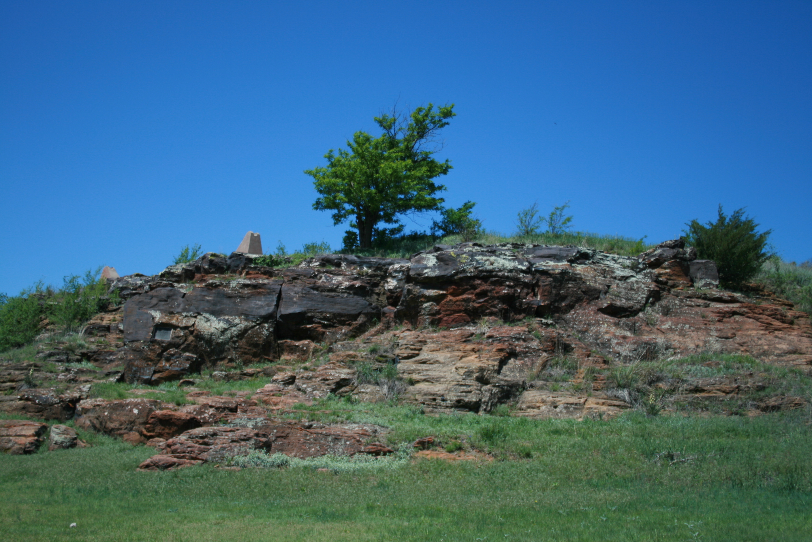 Layered rock formations with green shrubs and blue wildflowers in the foreground under a clear blue sky.