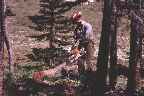 NPS Fire Use Modules Perform Emergency            Fuel Reduction Treatments at Cedar Breaks National Monument, June 2002