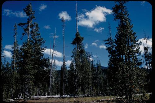 Landscape Views at Crater Lake National Park, Oregon
