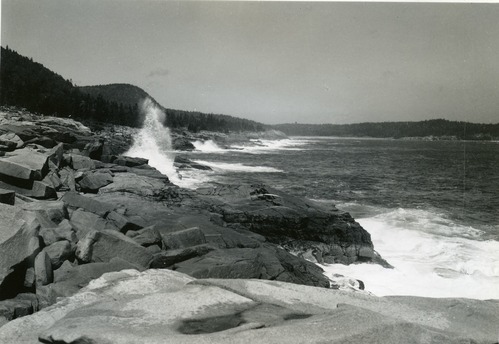 SURF ALONG OCEAN DRIVE