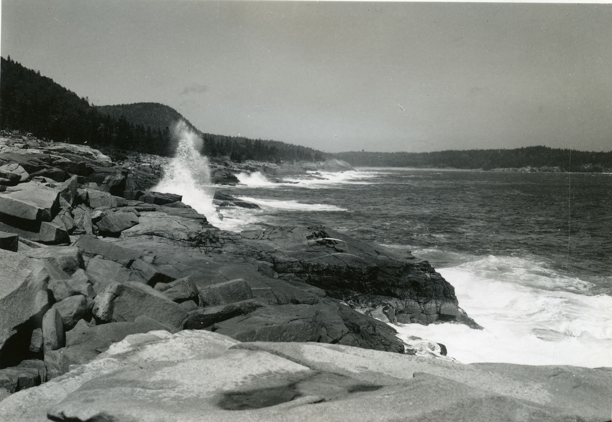 SURF ALONG OCEAN DRIVE