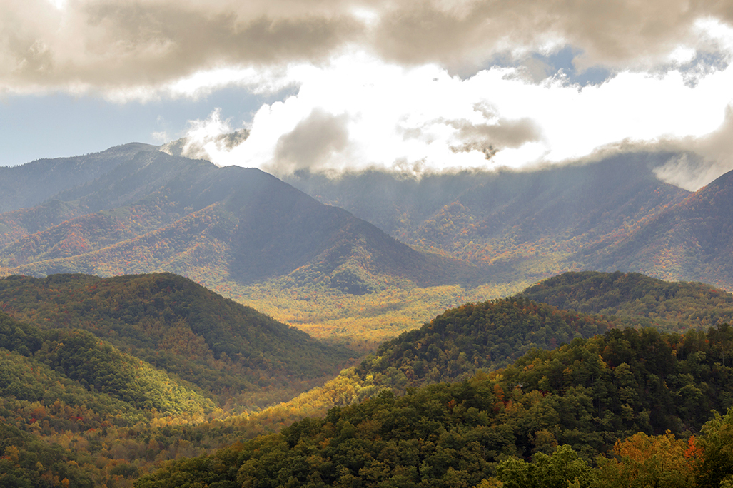 Rolling mountains covered in fall color with sunlight beaming through a cloudy sky.