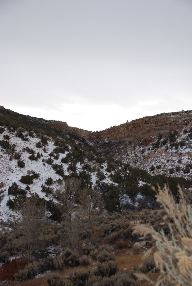 Scenic View of South Trail Creek