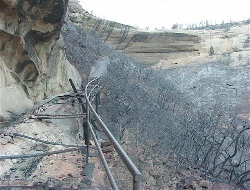 Long House archaeological dwelling site following the Pony Fire, Mesa Verde National Park, August 2000