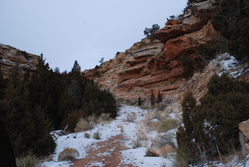 The historic Hillsboro road was just wide enough to bring visitors and freight into the ranch.