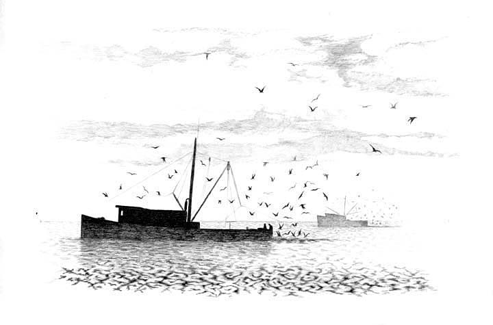 A fishing fleet leaving Hatteras Inlet or Oregon Inlet. Two boats are shown with large flocks of sea birds.
