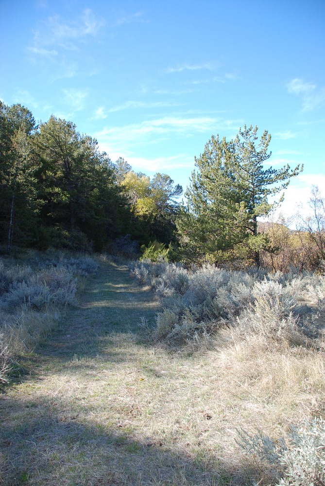 The trail has been carved through the sagebrush along a colorful riparian area.