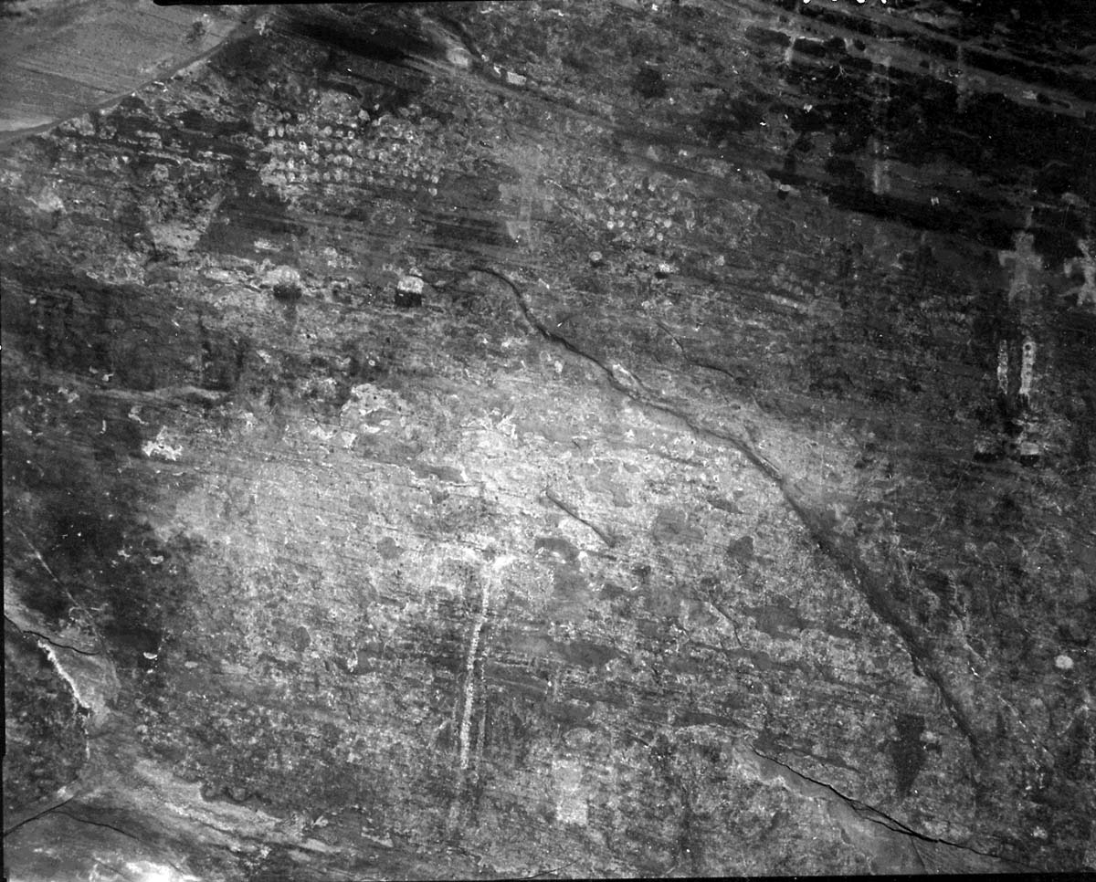 Petroglyphs in Petroglyph Canyon interpretive area