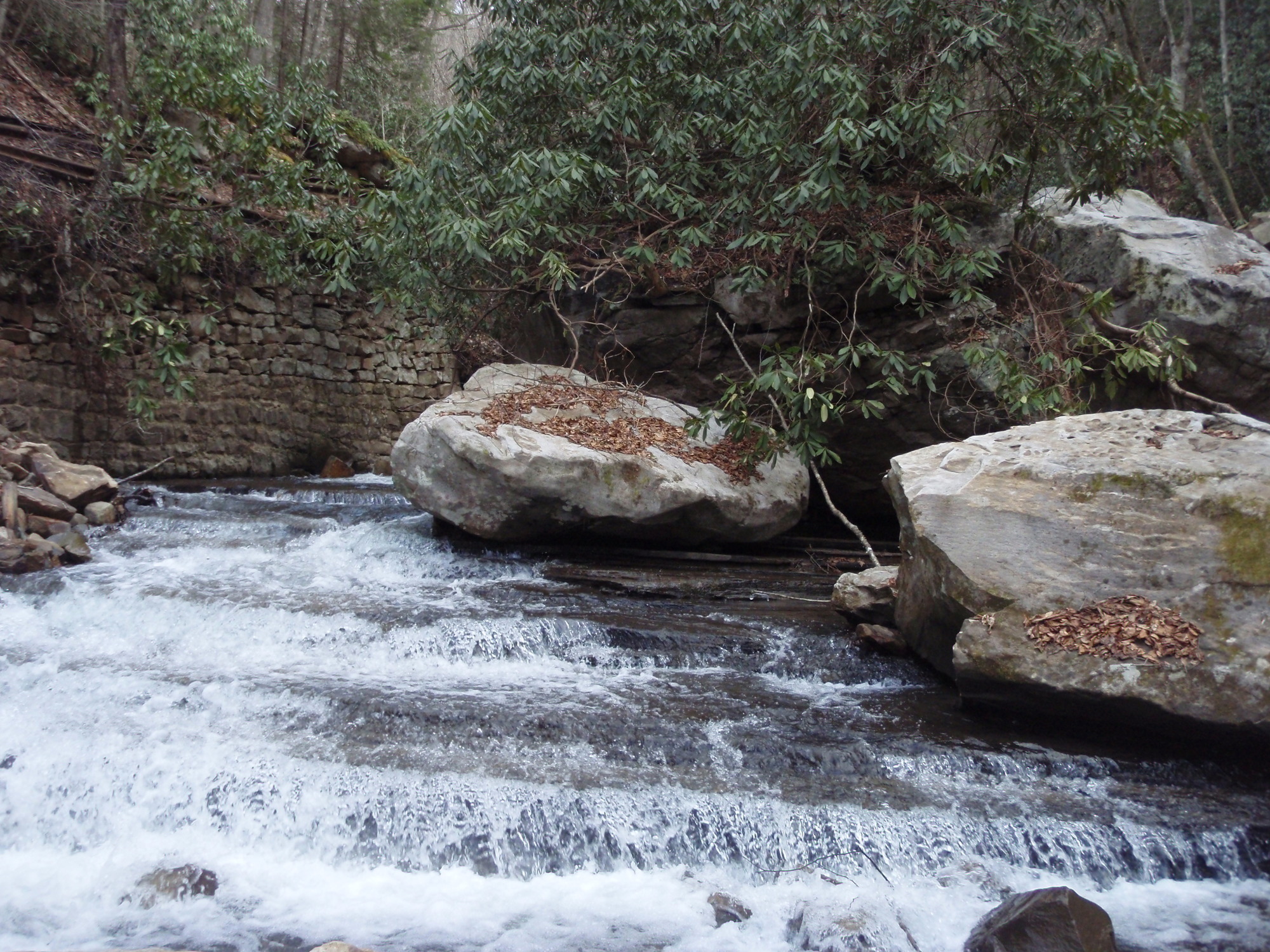 Site visit photo showing the upstream (UP) or downstream (DN) view of a wadeable stream reach taken during benthic macroinvertebrate monitoring at New River Gorge National Park and Preserve.