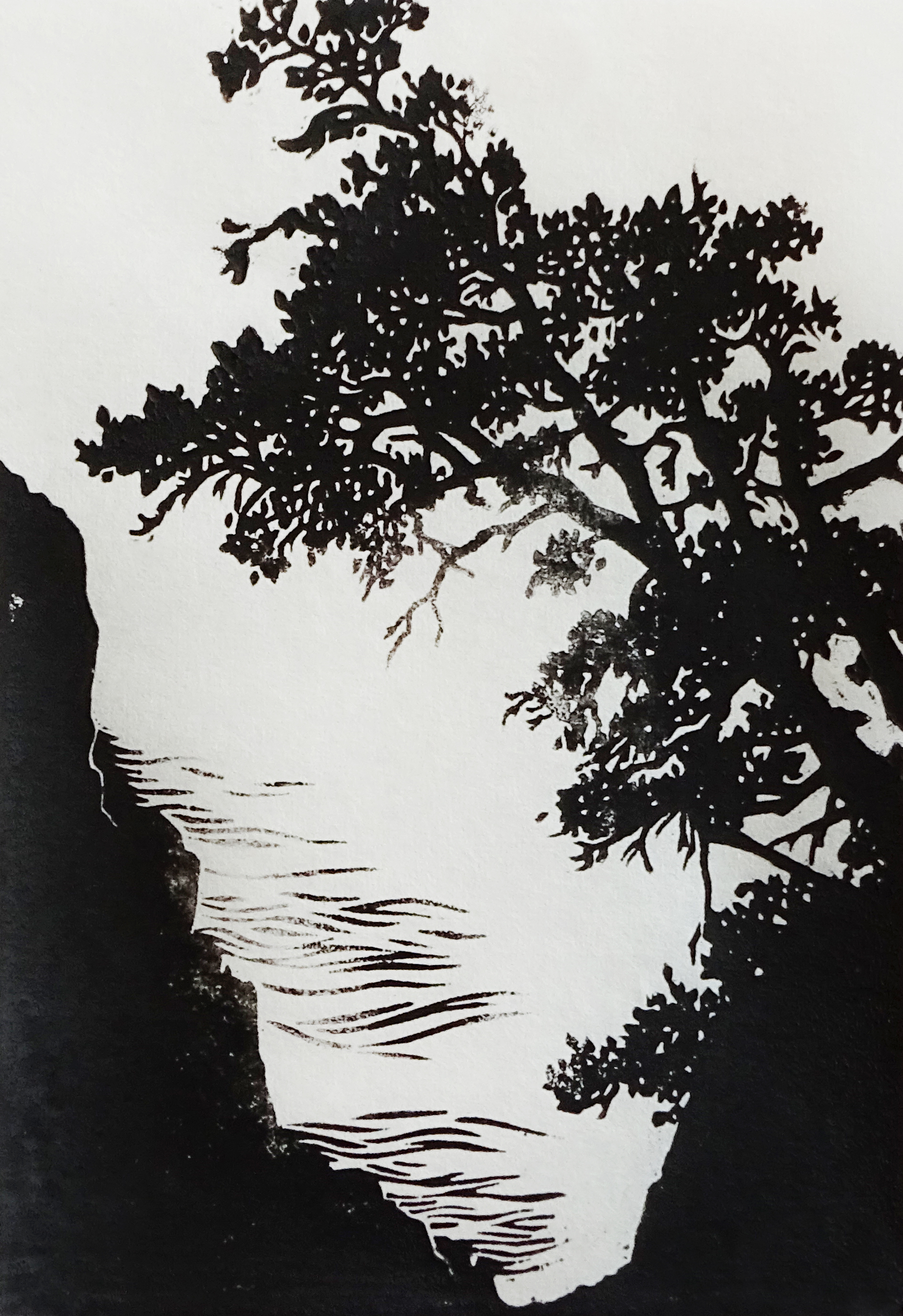 A black-and-white image made by printing ink on paper. At the top and middle of the image, a black tree is silhouetted against a white sky. Down and to the left of the tree, a black cliff stands above a canyon. Black lines flow off of the cliff, mimicking the flow of mist and fog after rain.