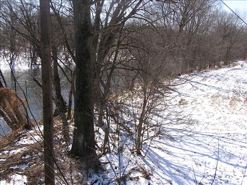 Establish Forested Riparian Buffers