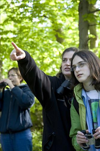 Bird Watchers Close Up