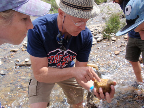 Dr. Hancock of Metro State University and participants examine black fly larvae