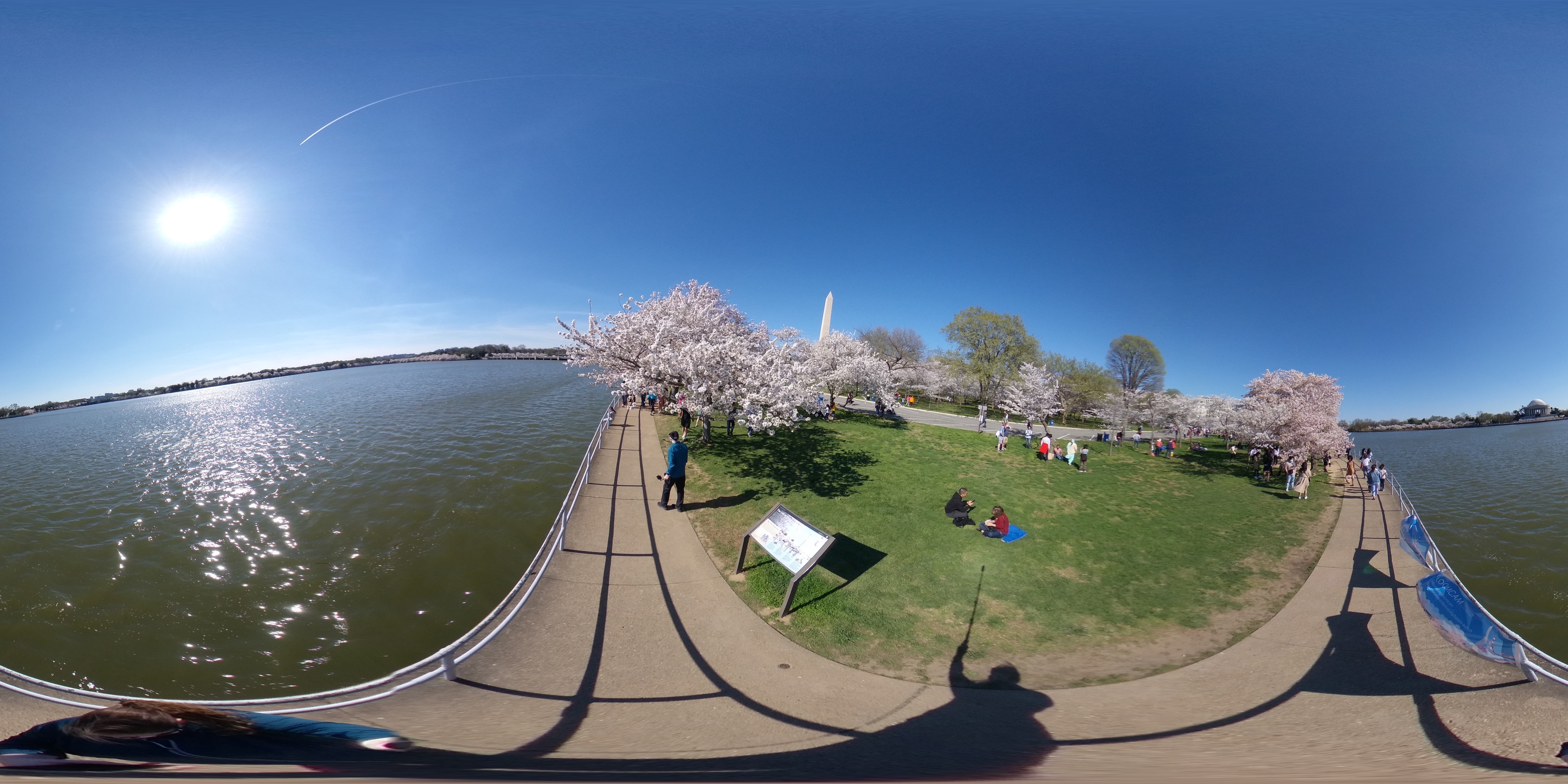 A spherical photo of a park area that includes people walking on a path next to a large tidal basin also lined with cherry blossom trees in full bloom and people sitting or walking through the grass near the trees. The Washington Monument is in the distance behind the trees. 