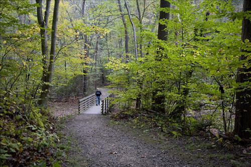 Fall hiker on Boston Run Trail