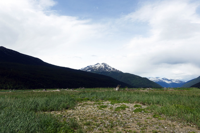 Tidal flats scenery, with short grasses and exposed soil, mountains in the distance.