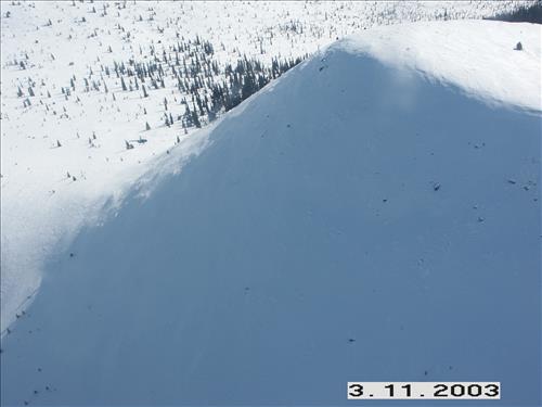 2 Yukon-Charley Rivers National Preserve Wolf Capture 2003