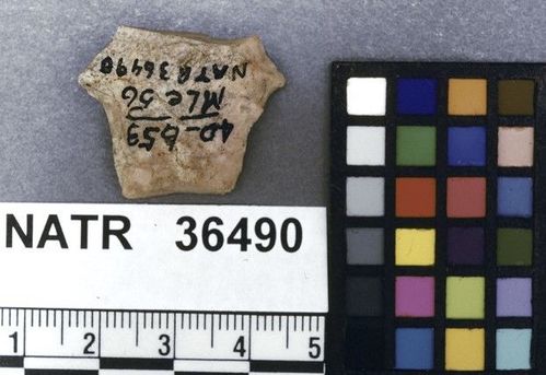 NATR   36490 -- Untyped projectile point