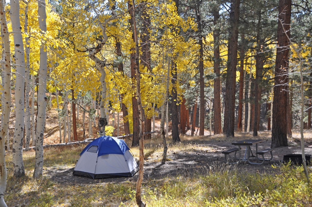a blue and white dome tent is in a campsite with a picnic table and fire ring, under aspen trees with golden leaves. 