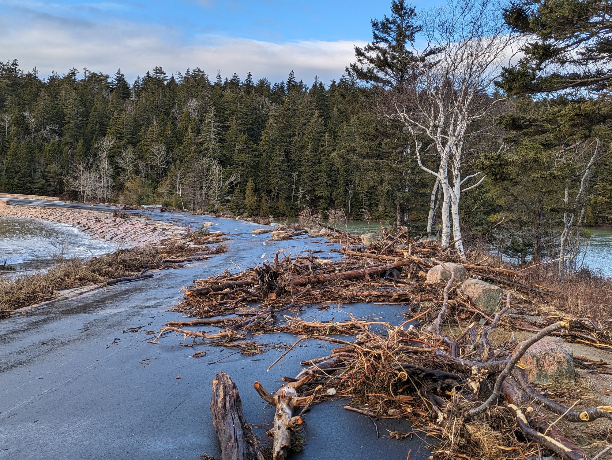 Wet road with a significant amount of seaweed, tree branches, and other debris obstructing the majority of the route. 
