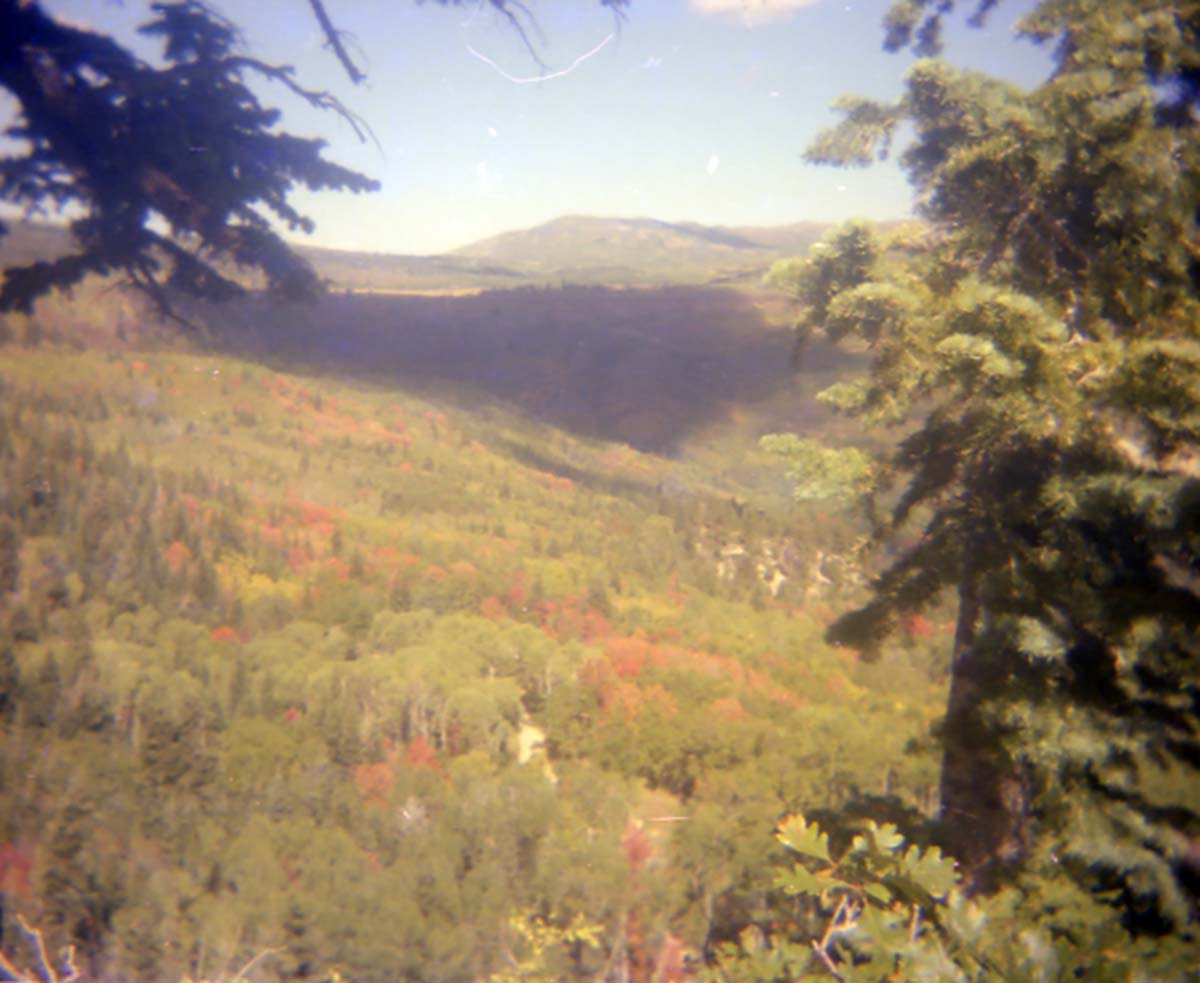 Color photos of scenic views of, or near, Cedar Breaks.