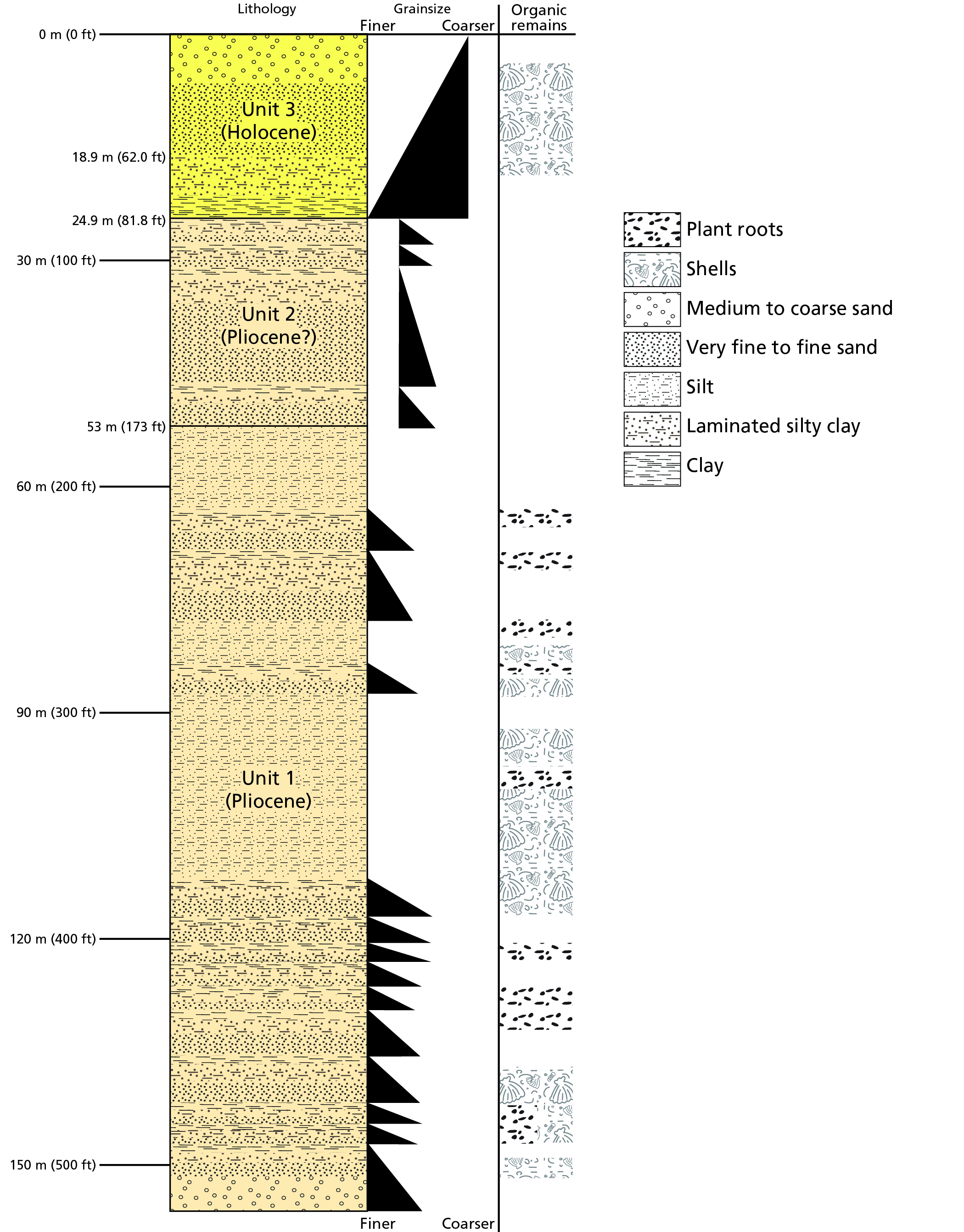 Graphic of drill core from Horn Island showing the different layers of plant root, shells, medium to coarse sand, very fine to fine sand, silt, laminated silty clay, and clay. 