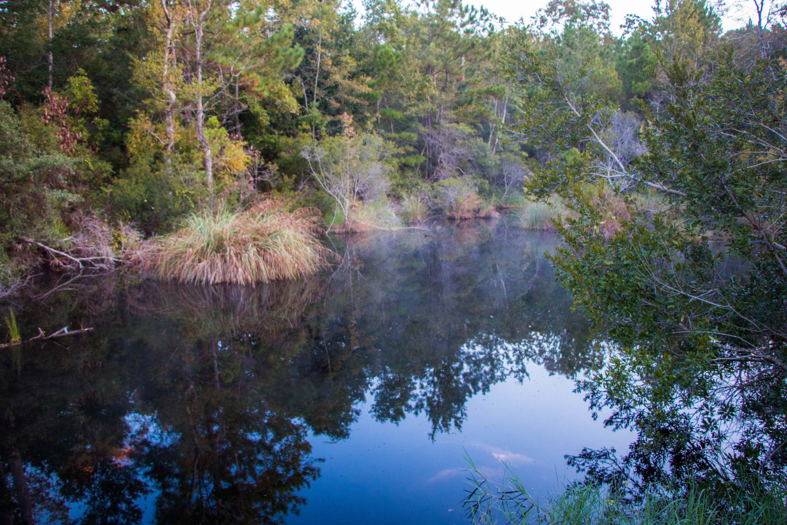 Davis Bayou Area Pond