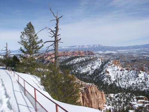 View looking northeast from Piracy Point, near Farview point