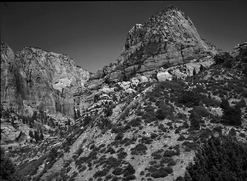 View from Lee's Pass.