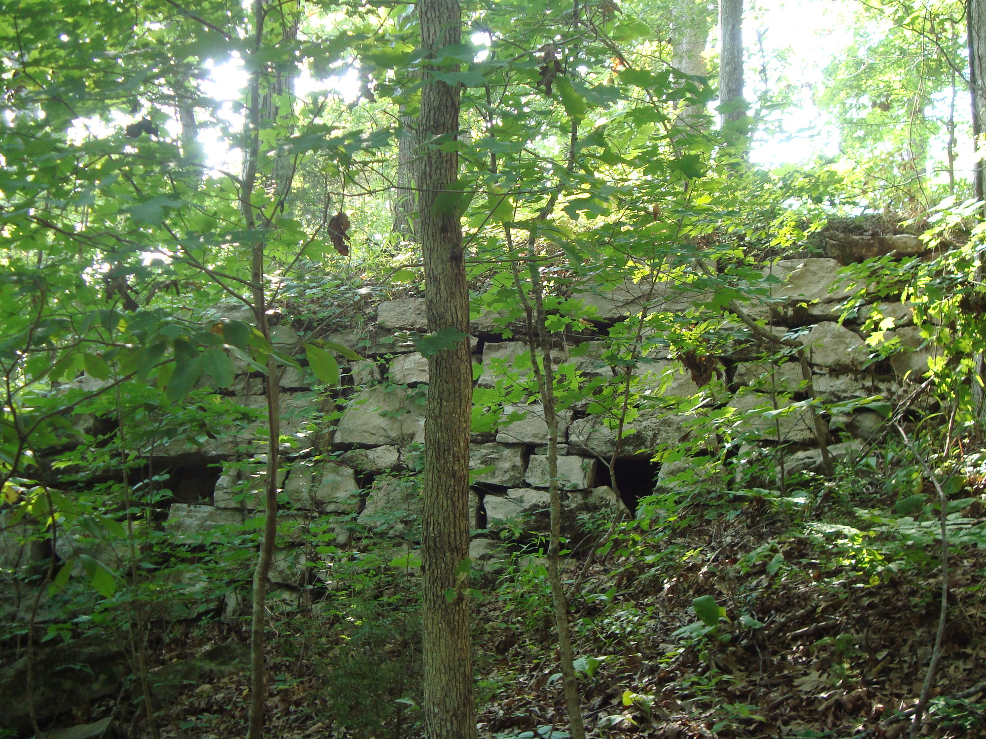 A stone wall in a wooded area.