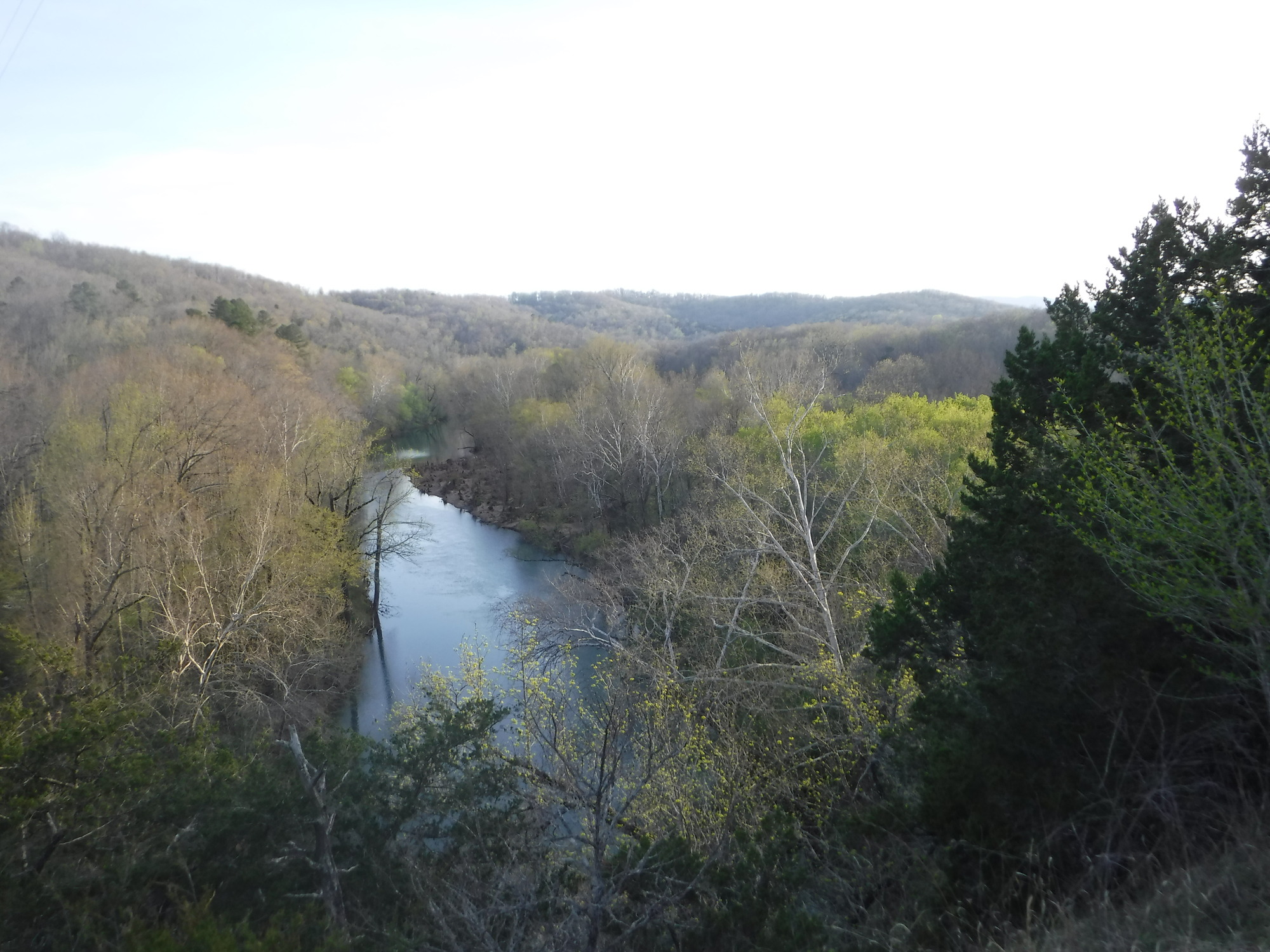 The first signs of spring speckle the woodline on either side of the Buffalo River near Pruitt Landing.