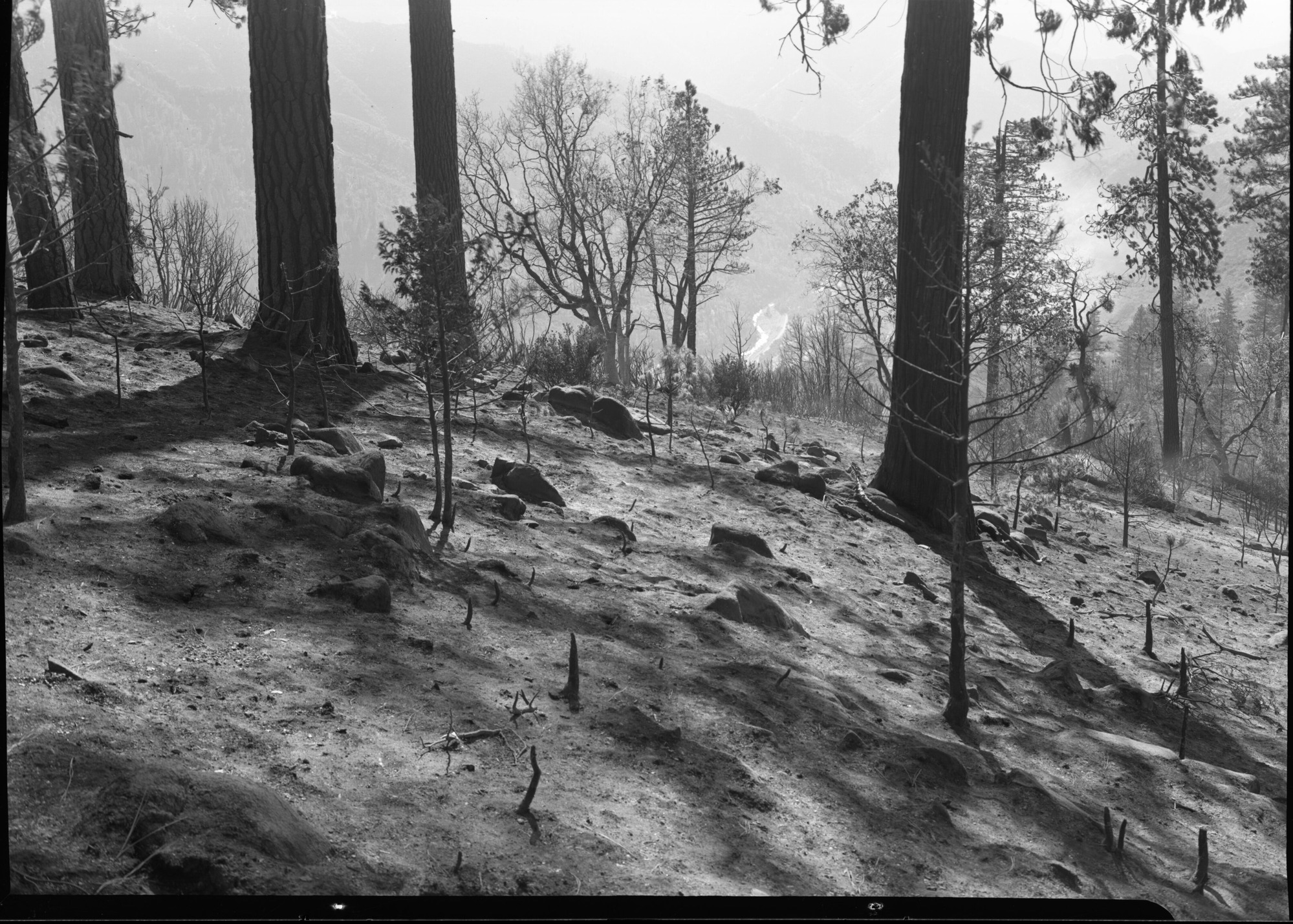 Devastation after fire