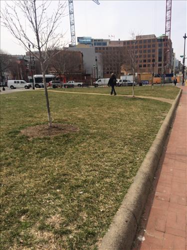 Social Path located at Reservation 72 in March 2015