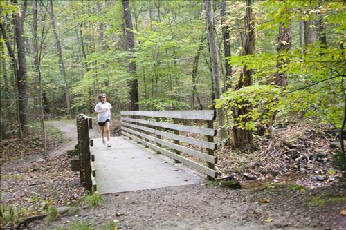 Fall Fun Run in the woods