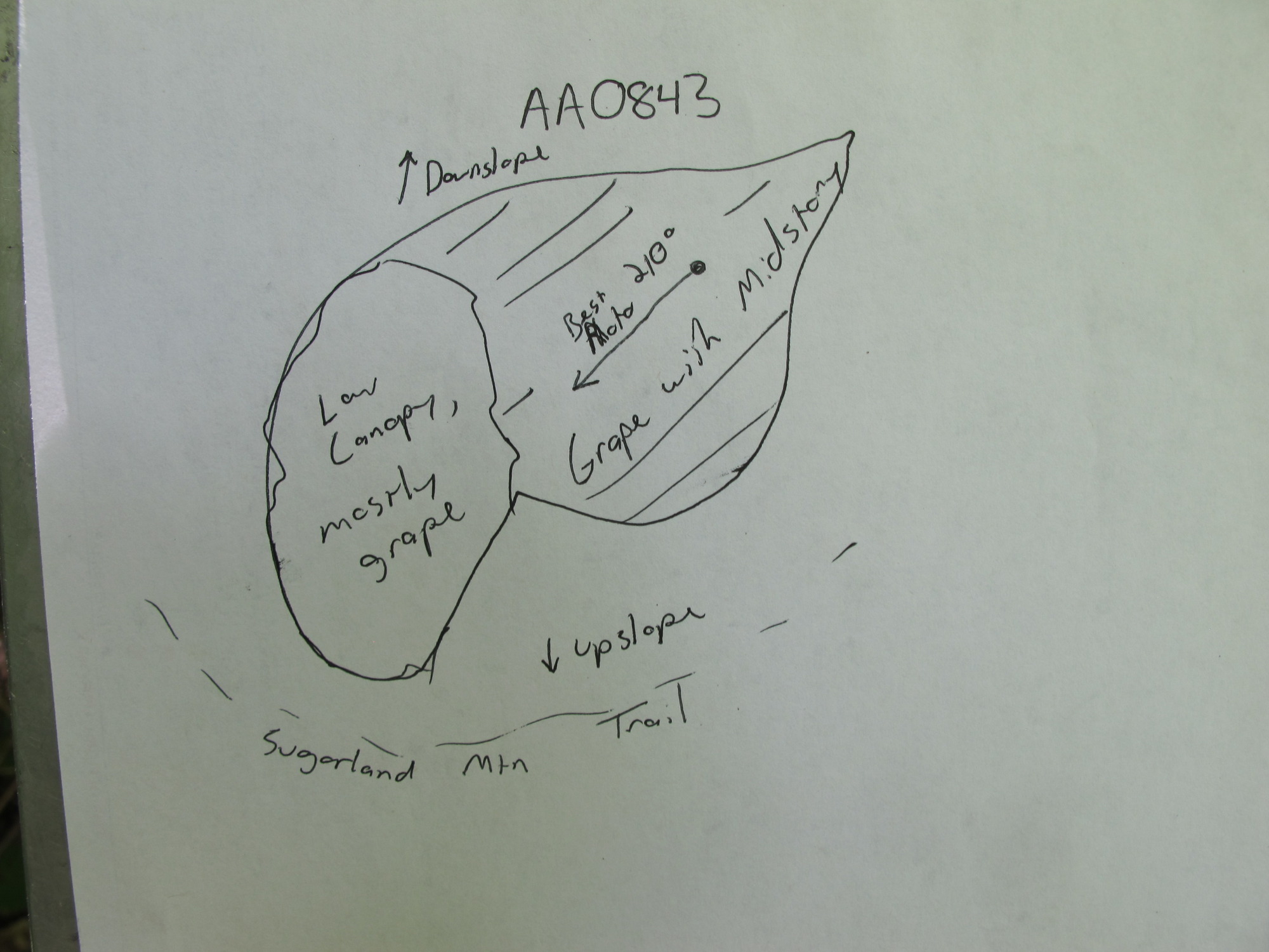 GRSM Accuracy Assessment. Plot Code: GRSM_AA_0843_7