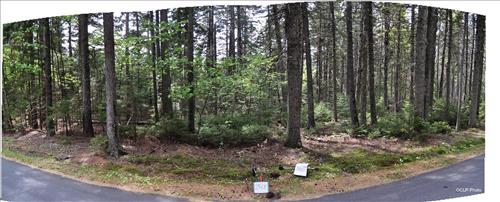 Acadia NP Historic Motor Road Vista 16 thru 30 Images September 2013