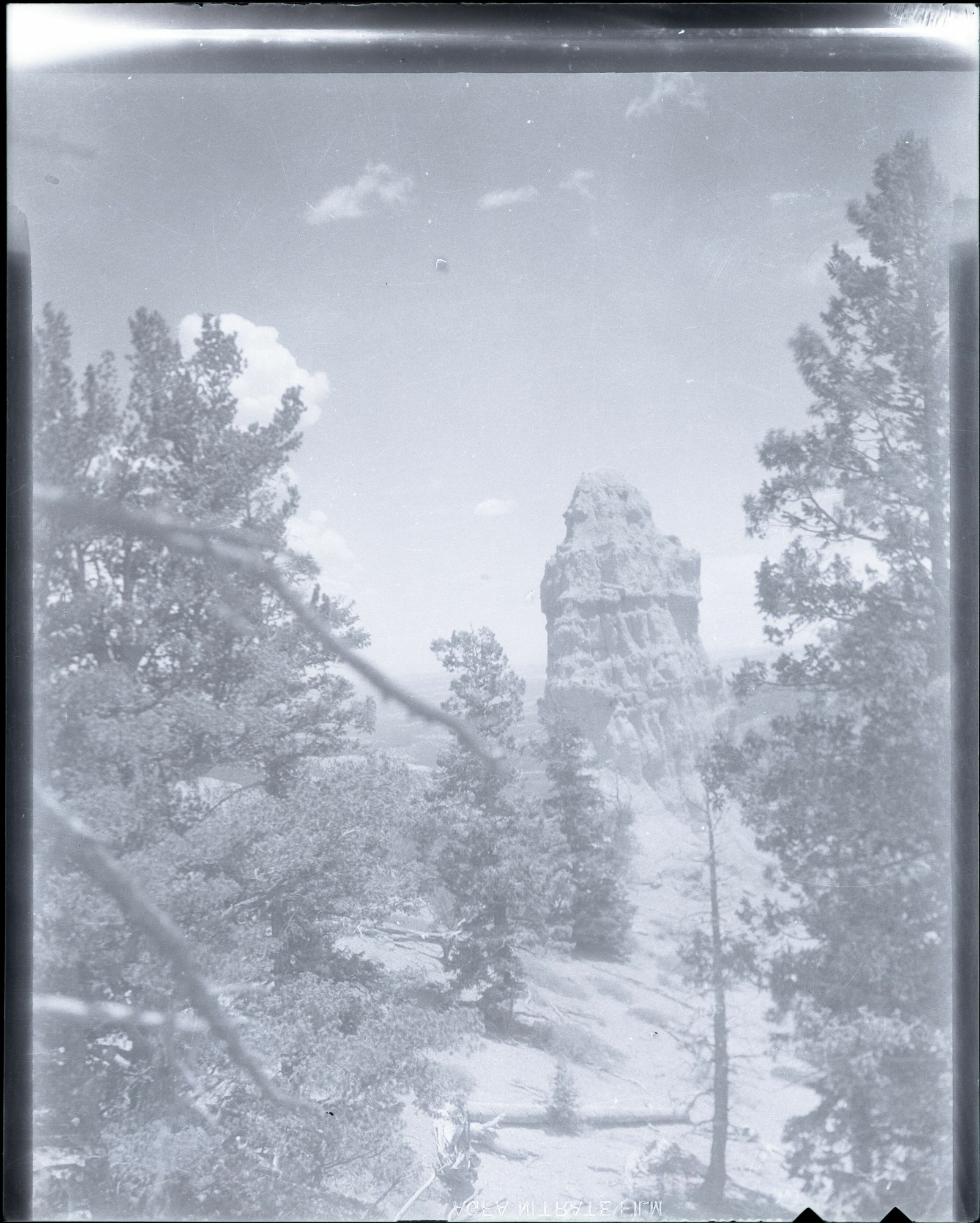 BRCA Museum and Archives Image