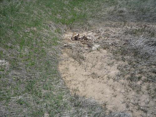 BADL Facilty Management Collection: Loop Road (RT 10) - FY10 Culverts