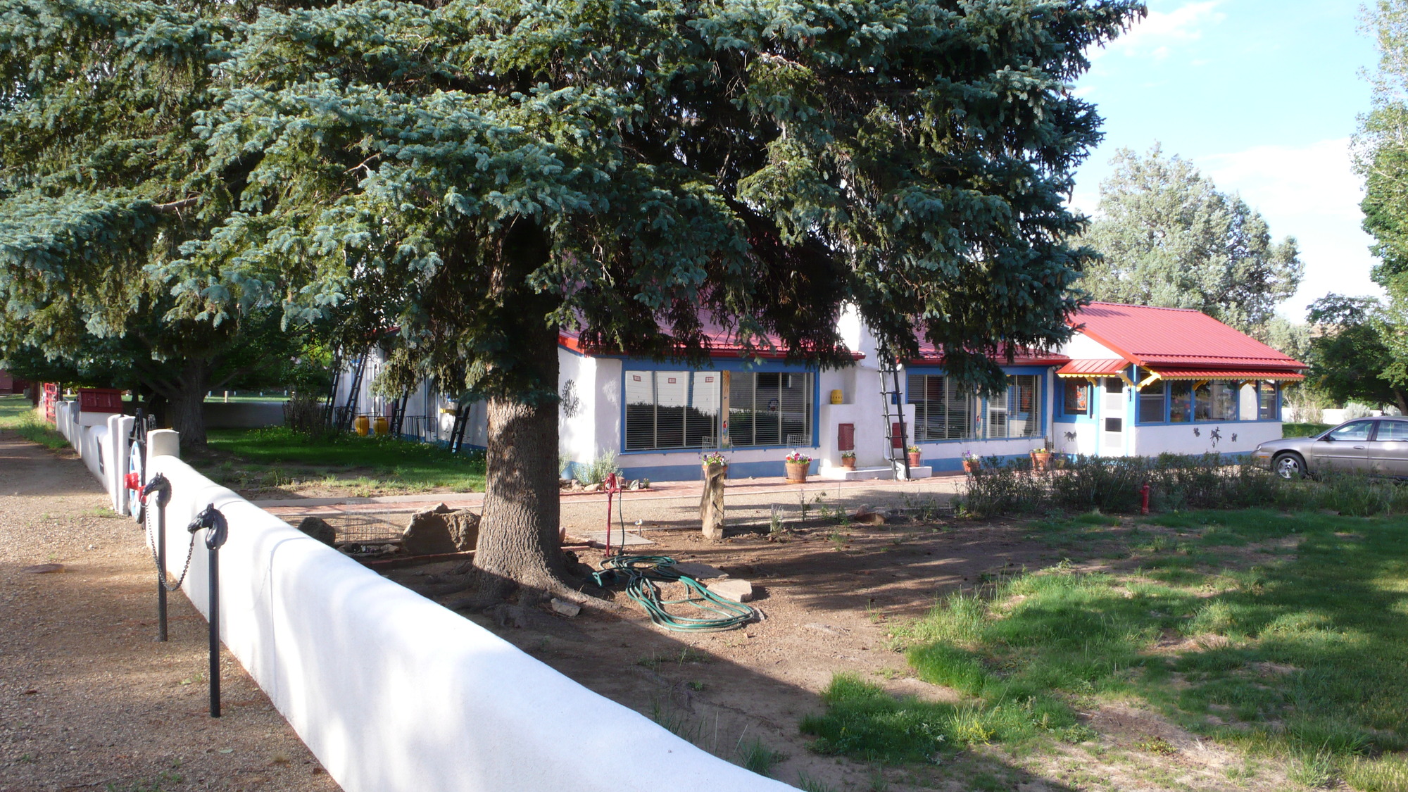 A tree in front of a house.