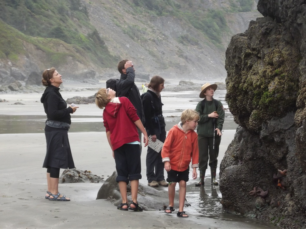 Ranger-led Tide Pool Program