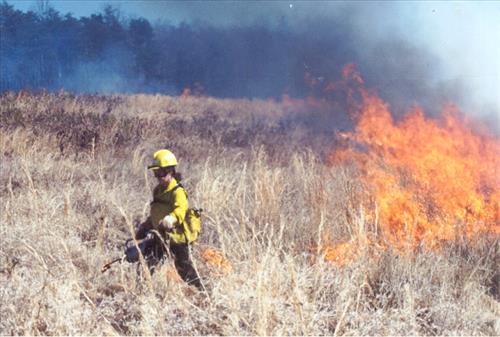 Spotsylvania courthouse prescribed burn, 2004