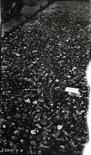 Narrows Trail construction with close-up view of rolled base.