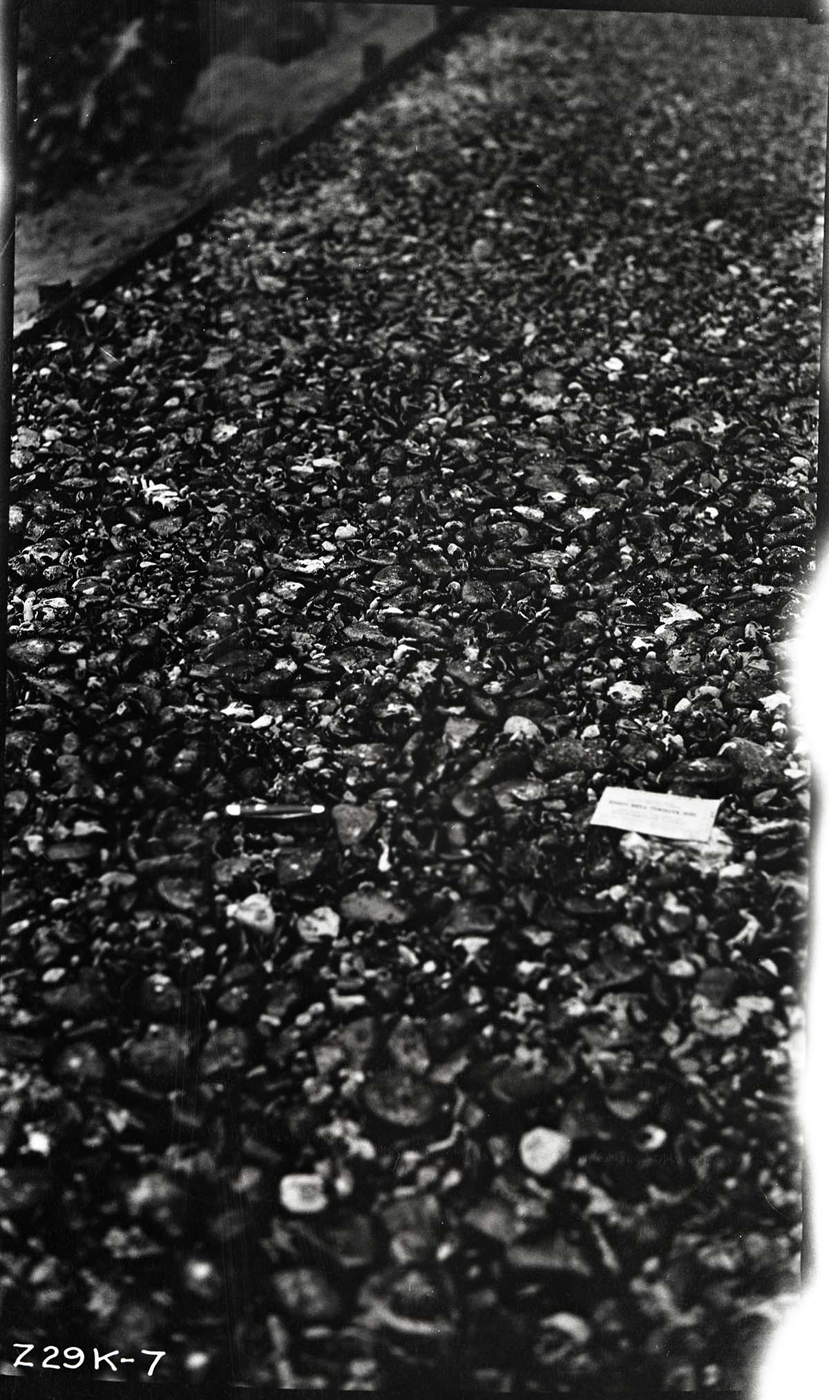 Narrows Trail construction with close-up view of rolled base.