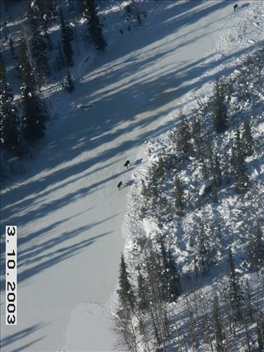 1 Yukon-Charley Rivers National Preserve Wolf Capture 2003